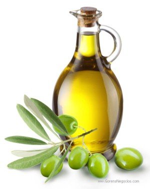 Olive Oil