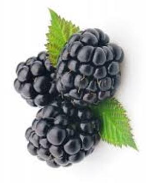 Blackberries