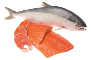 Salmon