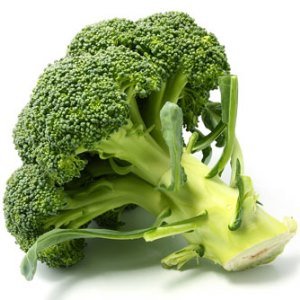 Broccoli